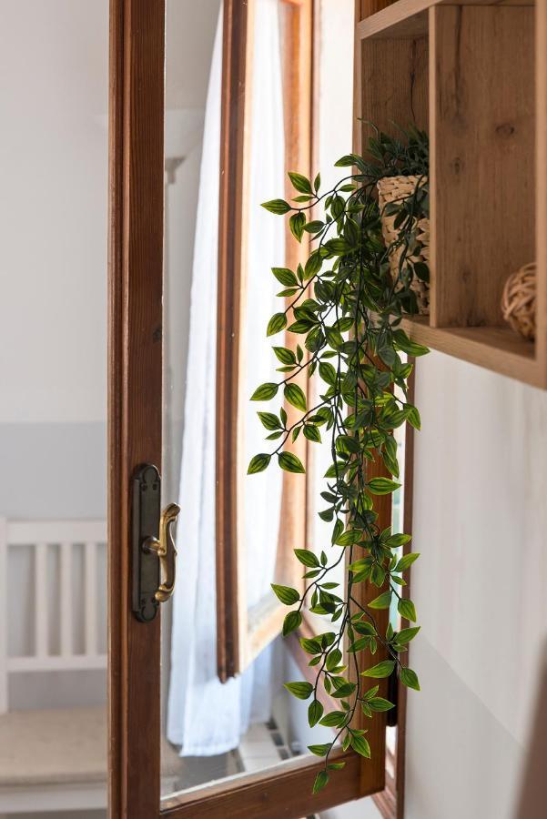 Colombina Like At Home 3 Bedrooms Fully Equipped Air Conditioned Venezia Eksteriør bilde